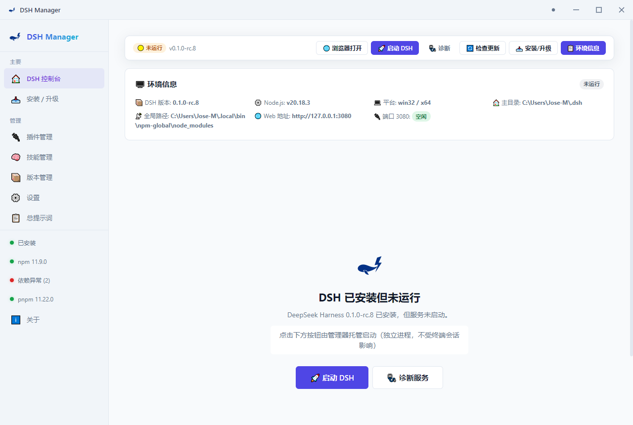 DSH Manager 主界面截图