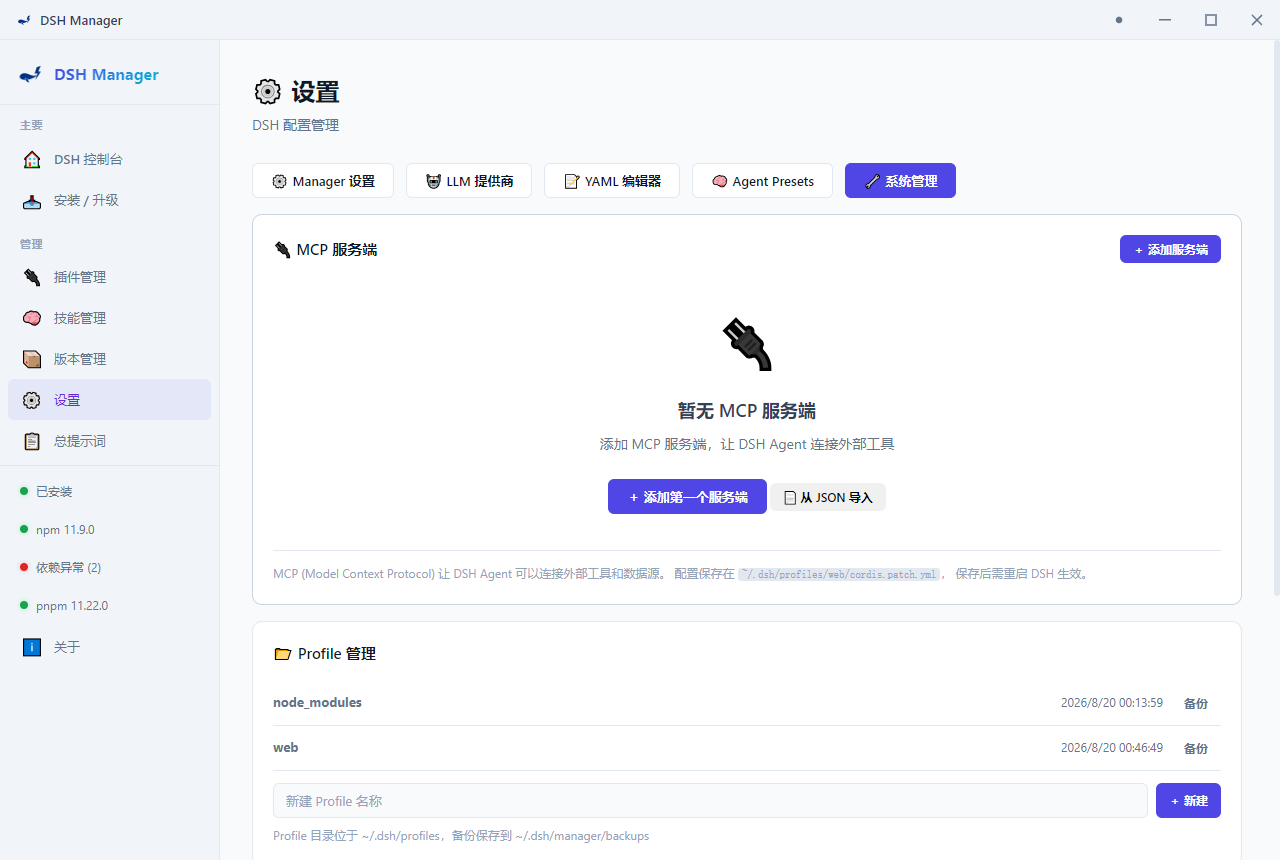 DSH Manager 设置界面